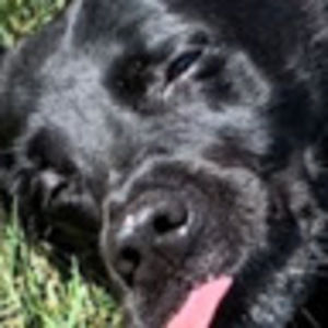 Meet your Posher, Molly